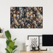 貝殻の山 ポスター (ホームオフィス)