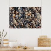 貝殻の山 ポスター (キッチン)