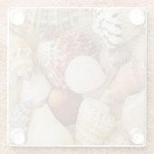 貝殻の整理 ガラスコースター (裏面)