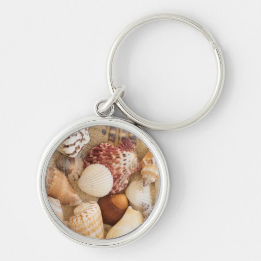 貝殻の整理 キーホルダー (正面)