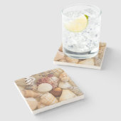 貝殻の整理 ストーンコースター (横)