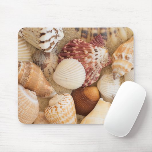 貝殻の整理 マウスパッド (マウス)