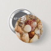 貝殻の整理 缶バッジ (正面&裏面)