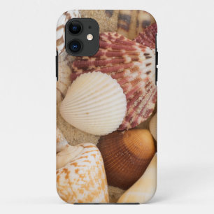 貝殻の整理 iPhone 11 ケース