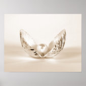 貝殻の真珠 ポスター (正面)