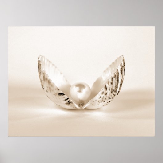 貝殻の真珠 ポスター (正面)