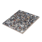 貝殻の背景 タイル (側面)