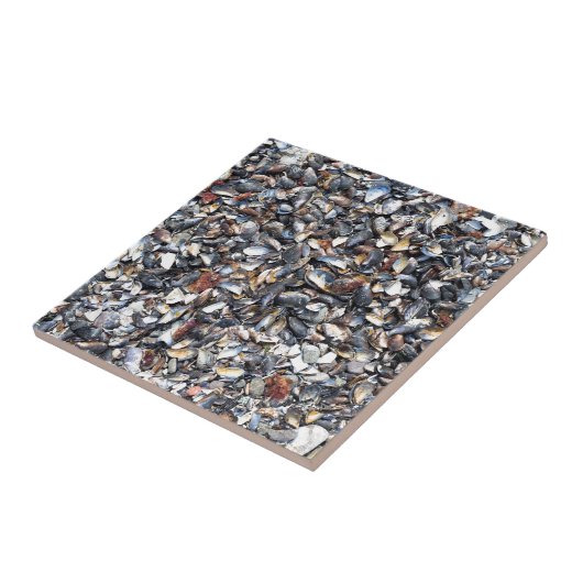 貝殻の背景 タイル (側面)