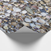 貝殻の背景 ラッピングペーパー (角)