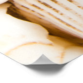 貝殻の背景: 海をテーマにしたもの。 ポスター (角)