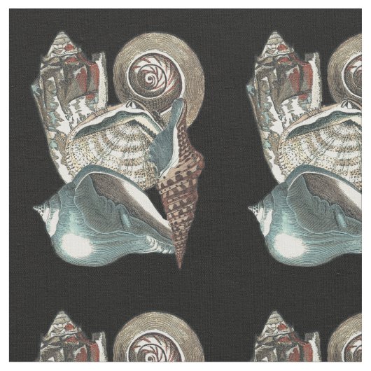 貝殻の選集 ファブリック (クローズアップ)