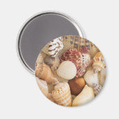 貝殻の配置 マグネット (正面/裏面)