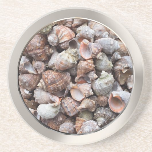 貝殻を包む コースター (正面)