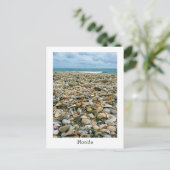 貝殻を持つ米国のフロリダビーチのはがき ポストカード (スタンド正面)