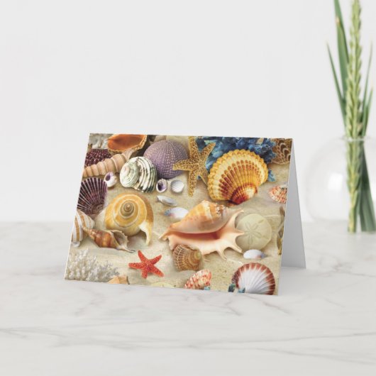 貝殻オンビーチ シーズンカード (正面)