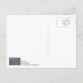 貝殻パイル ポストカード (裏面)