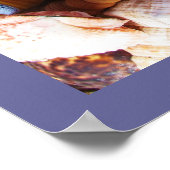 貝殻ヒトデカラフルラ ポスター (角)