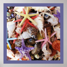 貝殻ヒトデカラフルラ ポスター
