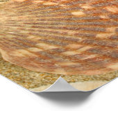 貝殻フレーム ポスター (角)