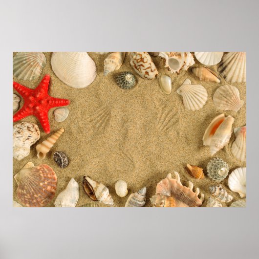 貝殻フレーム ポスター (正面)