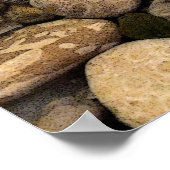 貝殻付きペトスキー石l ポスター (角)