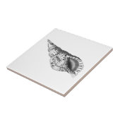 貝殻海洋生物セラミックタイル タイル (側面)