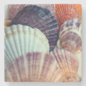 貝殻石コースター ストーンコースター (正面)