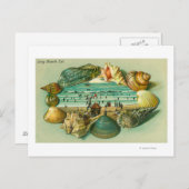 貝殻縁どの景色 ポストカード (正面/裏面)