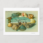 貝殻縁どの景色 ポストカード (正面)