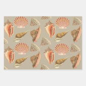 貝殻芸術的ヴィンテージスタイル ラッピングペーパーシート (正面)