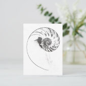 貝殻1 ポストカード (スタンド正面)