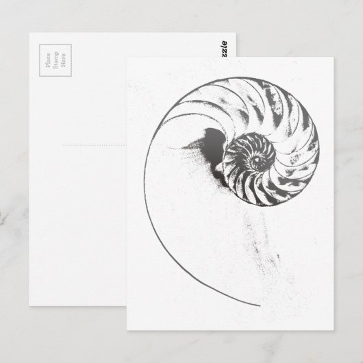 貝殻1 ポストカード (正面/裏面)