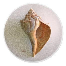 貝殻2つのR -ノブ セラミックノブ