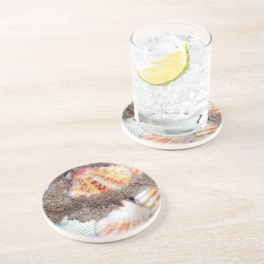 貝殻2 コースター (側面)