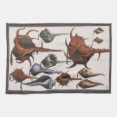 貝殻, アンティークの貝殻, 海洋の海洋生物 キッチンタオル (横)