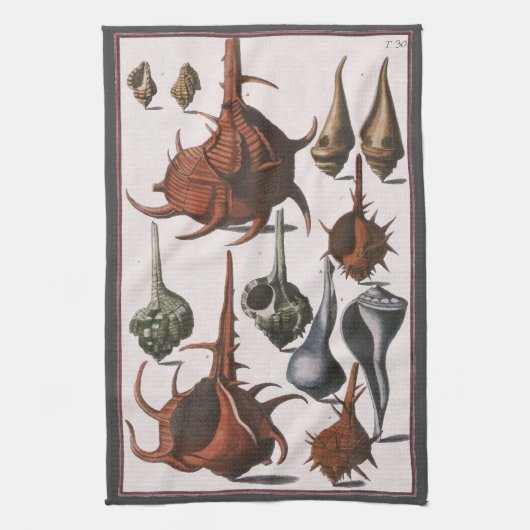 貝殻, アンティークの貝殻, 海洋の海洋生物 キッチンタオル (縦)