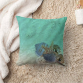 貝殻 クッション (ブランケット)