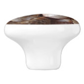 貝殻、クラムシェル、コックルシェル、ホタテ セラミックノブ (側面)