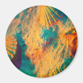 貝殻、クラムシェル、コックルシェル、ホタテ マグネット (正面)