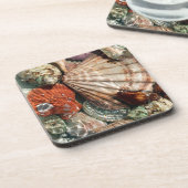 貝殻 コースター (左側)