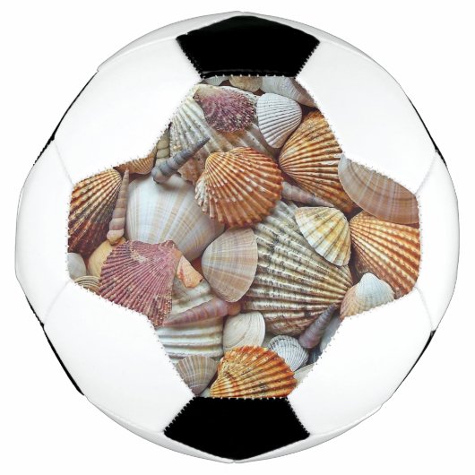 貝殻 サッカーボール (正面)