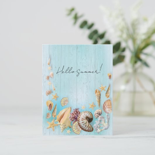 貝殻 シーズンカード (スタンド正面)