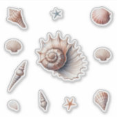 貝殻 シール (正面)