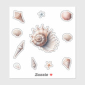 貝殻 シール (シート)
