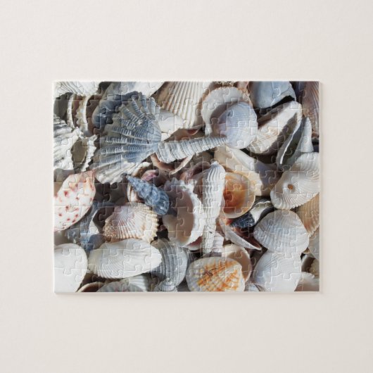 貝殻 ジグソーパズル (横)