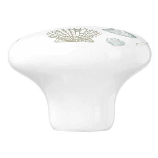 貝殻 セラミックノブ (側面)