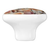 貝殻 セラミックノブ (側面)