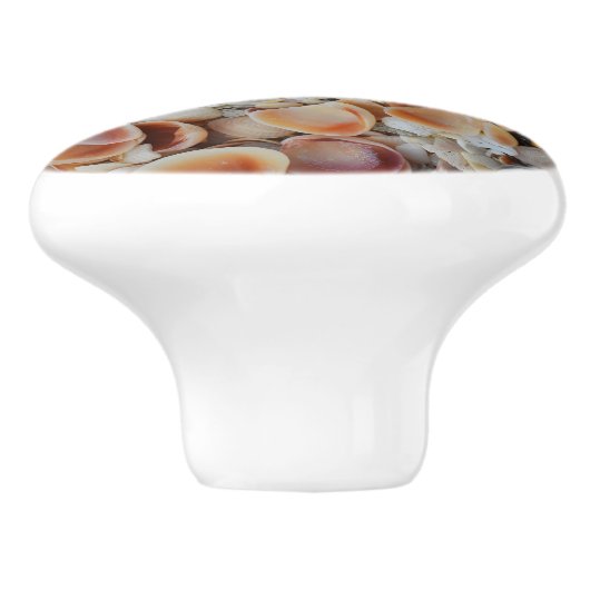 貝殻 セラミックノブ (側面)