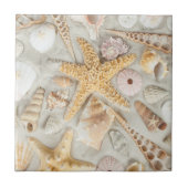 貝殻 タイル (正面)