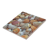 貝殻 タイル (側面)